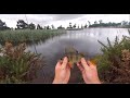 Catching Redfin Perch on Lures | Ep.21