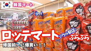 [Korea Trip] Battle breaks out at Lotte Mart🔥💦⁉️ Recommended Korean souvenirs🎁