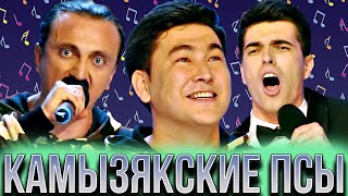 КВН Камызякские псы/Сборник лучших песен