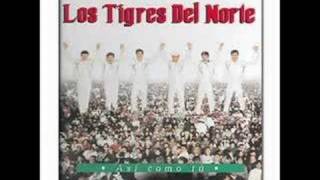 Los Tigres Del Norte Padres Tristes