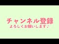 【2022年】メイケイエール全出走レースまとめ！スプリンターズステークス出走決定