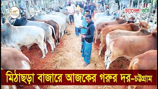 মিঠাছড়া গরু বাজার | Mithachora Cow Hat | Cow Sale Center | Mirsorai | Krishi Vlog | Channel Krishi