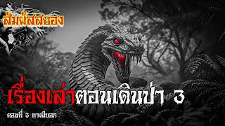 EP.834 | เรื่องเล่าตอนเดินป่า ตอนที่ 3 ทางผีบอก | เรื่องผี | สัมผัสสยอง