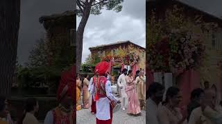 Niharika dancing at Varun Tej & Lavanya Wedding #short