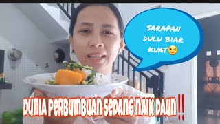 DUNIA PERBUMBUAN SEDANG NAIK DAUN‼️ SUPAYA KUAT, SARAPAN DULU PORSI KULI.