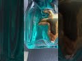 fake vs real jean paul gaultier le beau le parfum intense perfume