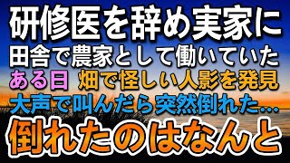 【感動する話】医者を辞めて田舎の実家で母と祖父と3人で農業をして暮らしていた。ある日畑に人影が…「何してるの！」大声で叫ぶと突然目の前で女の子が倒れて…その後驚きの展開に【いい話】【泣ける話