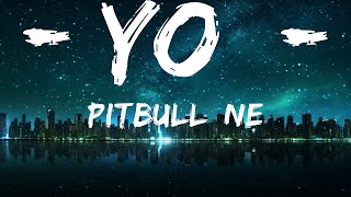 Pitbull, Ne-Yo - Time Of Our Lives (Lirieke)