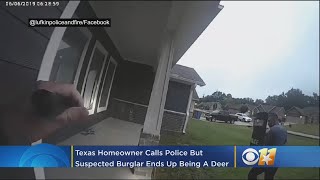 Bambi The Burglar? Texas Homeowner Calls Police After Break-In, Suspect Ends Up Being A Deer