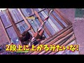 タイマンが一気に上手くなる「横とび」基礎とプロ建築技をまとめて紹介 【フォートナイト fortnite】