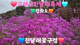 [진달래축제] 강화도 고려산 진달래 꽃구경 1부 /  어서오시겨 진달래 축제