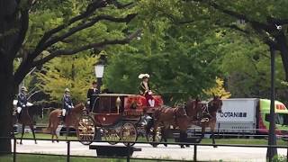 フィンランド大使、信任状捧呈式 Ambassador of Finland, Ceremony of the Presentation of Credentials, 2018