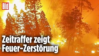 USA: Heftiger Waldbrand erschüttert Kalifornien