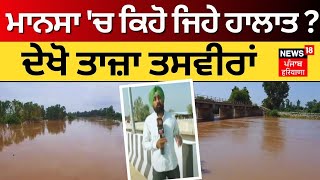 Mansa Flood Update | ਮਾਨਸਾ 'ਚ ਕਿਹੋ ਜਿਹੇ ਹਾਲਾਤ ? ਦੇਖੋ ਤਾਜ਼ਾ ਤਸਵੀਰਾਂ | Ghaggar River | News18 Punjab