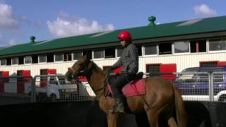 [愛知ステーブル]10月の馴致風景・2