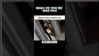 체포당시 김세의 대표님 지키려 했던 까미#shorts#short#subscribe#가로세로연구소#김용호연예부장#구독#가세연#일상#윤석열#국민의힘#좋아요#강용석#강아지#경찰#개냥이