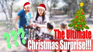 The Ultimate Christmas Surprise! | Love, The Lys