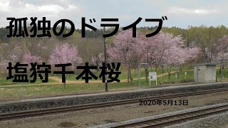 DIY車中泊車NV350で北海道ドライブ＆旅先紹介動画　孤独のドライブ塩狩千本桜