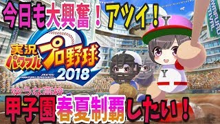 【パワプロ2018】#13  夏の甲子園から!!!!!転生マエケン、天才肌きた！GET！！栄冠ナイン【実況パワフルプロ野球2018】