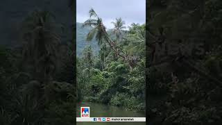 തെങ്ങ് ചതിക്കൂല അയ്യോ ചതിച്ചൂ