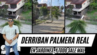 Tuxpan Veracruz: Talan palmera y cae sobre Cables en Jardines