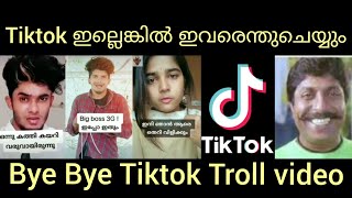 Tiktok ഇനി തിരിച്ചുവരുമോ? LD trollen| Tiktok troll video |malayalam troll video|