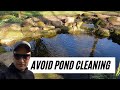 How to avoid draining & cleaning your pond 👌