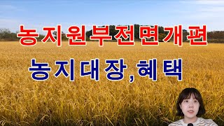 농지원부개편,농지원부혜택,농지대장