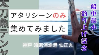 【神戸沖 タチウオ 釣り】大阪湾・神戸沖の太刀魚テンヤ釣り アタリシーンのみ集めてみました - 2024/9/13 須磨浦漁港 - 仙正丸