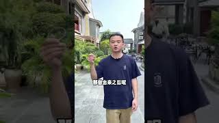 收了一手做叮当的乌鸡镯，关于叮当镯的故事你听过嘛（2）