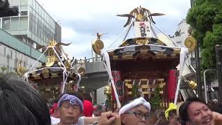 慶祝 令和５年 茅ヶ崎市　第６８回 大岡越前祭 　＜神輿三基連合渡御＞