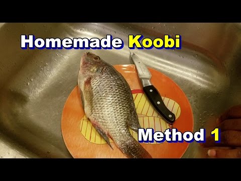 How to make Homemade Koobi | Salted Fish (Part 1 of 2) How to make Homemade Koobi | Salted Fish (Part 1 of 2)