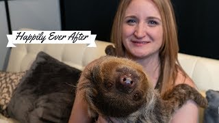 Sloth Helps Man With Surprise Proposal