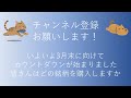 まだ間に合う！！3月に権利月を迎える、人気株主優待の優良企業5社を選びました。