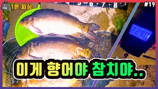 외통낚시- 향어낚시하다 병원다녀온 조행기.Real   [ 3향어  215cm / 22.9kg ] #문화낚시터