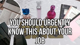 You should urgently know this about your job! Tarot Timeless pick a card reading.