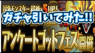 【パズドラ】アンケートゴッドフェス!!引いてみた!!!!!!!!!!!!