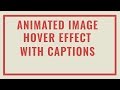 CSS3 Animated Text Overlay on Hover | Animated Image Hover Effects with Captions