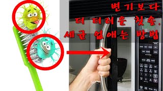 변기보다 더 더러운 칫솔, 세균 없애는 세척 소독 방법