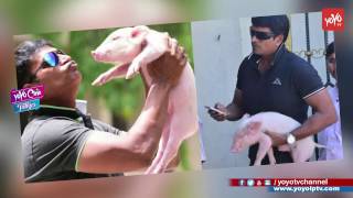Director Ravi Babu Spotted With Piglet at ATM || YOYO Cine Talkies
