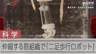 生き物のように動く「二足歩行ロボット」　東大・早稲田大チームが発表