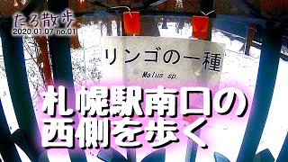 (01)【お仕事前の30分ウォーキング】札幌駅南口の西側を歩きます