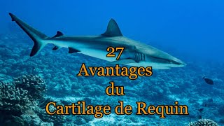 27 avantages du cartilage de requin