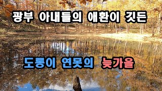 광부 아내들의 애환이 깃든 도롱이 연못, 도룡용이 살아 있으면 남편이 무사하다.