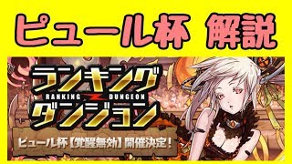 【パズドラ】ランキングダンジョン ピュール杯 王冠狙い解説！