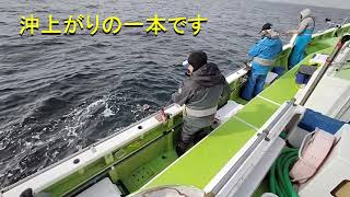 [2021今日もラスト１本最高]東京湾久里浜大正丸天秤タチウオ釣り