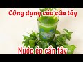 Công dụng của cần tây tốt cho sức khoẻ |món ngon mỗi ngày pt