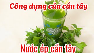 Công dụng của cần tây tốt cho sức khoẻ |món ngon mỗi ngày pt