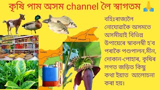 নিবনুৱা সমস্যা সমাধানৰ উপায়! ব্যৱসায় বাণিজ্য, কৃষি কৰ্মৰ জৰিয়তে কেনেদৰে স্বাবলম্বী হ'ব, agriculture