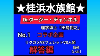 No.1 「解答編」桂浜水族館×Dr.タージー ★コラボ企画★「リクガメvsフェレットvs桂浜水族館飼育員」